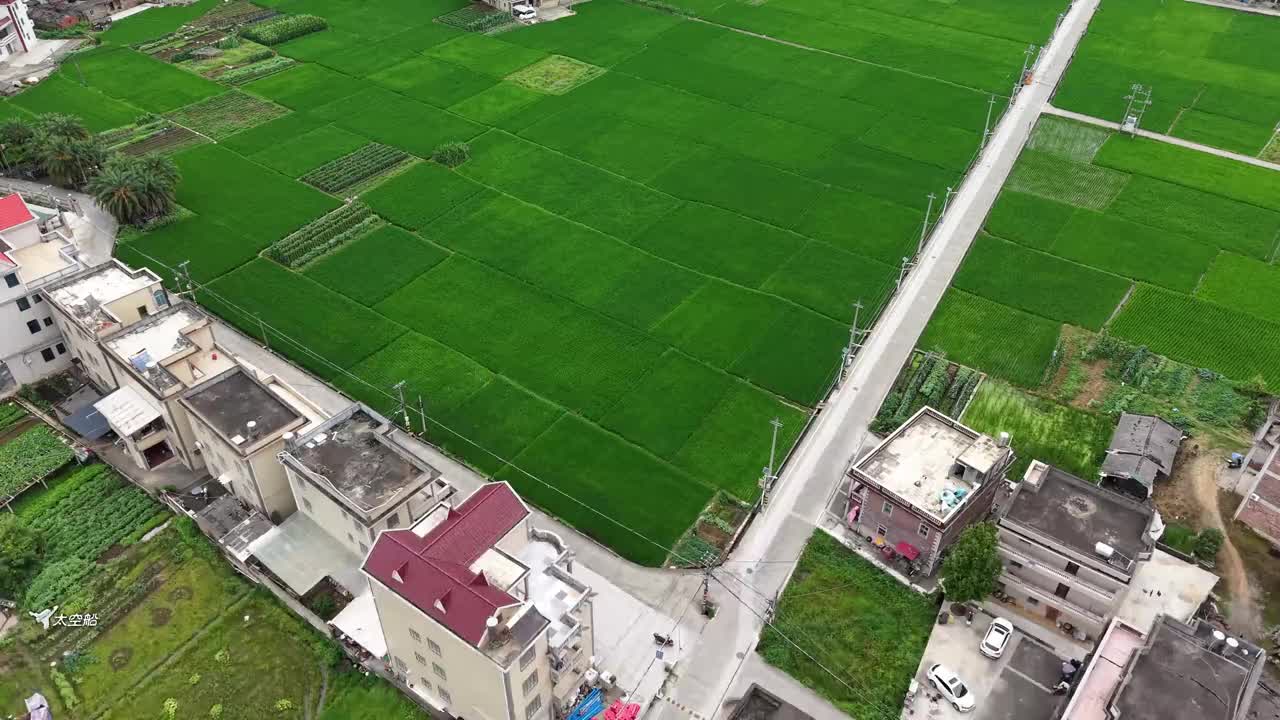 乡村田园风光，绿意盎然，宁静祥和。