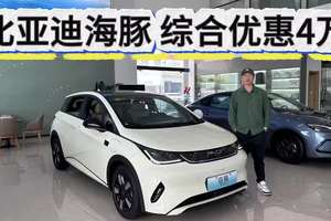 比亚迪海豚新款有何升级？老款优惠4万起，5万多可入手！
