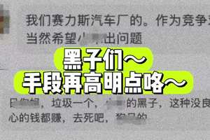 想带节奏的黑子们～手 段可以再高明点～ #新能源汽车