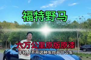#福特野马 #肌肉车
