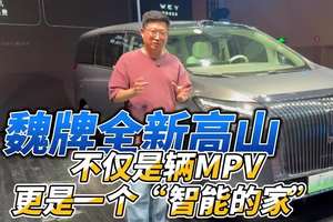 魏牌全新高山 不仅是辆MPV 更是一个“智能的家”