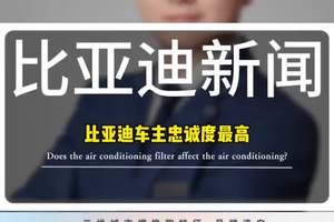 不是说从迪粉到迪黑只需要一辆比亚迪吗？ #比亚迪 #比亚迪汉 #比亚迪唐