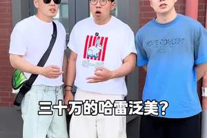 铁甲小宝看过吗？ #哈雷泛美