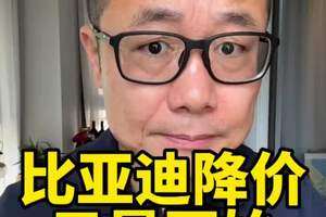 下半年车市价格预测 #热门#汽车人共创计划 #新能源汽车 #比亚迪 #降价