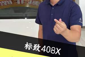 月销不足100台的法系车，冷门中的战斗机 408X这个车，终究是生不逢时#法系车 #懂车车 #408X
