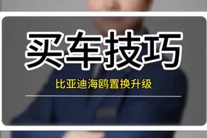 比亚迪海鸥最新超级置换政策太好拿了 #比亚迪海鸥 #比亚迪