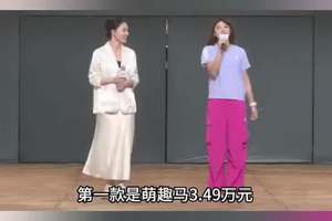 吴艳妮前来助阵，奔腾小马焕新上市，上市价3.49万起
