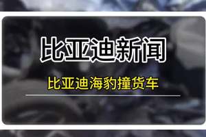 比亚迪海豹撞货车，不起火，气囊正常弹开，A柱不变形！ #比亚迪海豹EV撞货车 #比亚迪海豹 #比亚迪