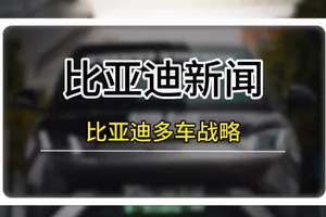 比亚迪的多车战略，稳如泰山！ #比亚迪 #比亚迪销量