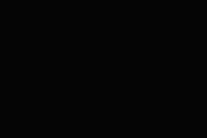 东风风神L8：比理想更理想