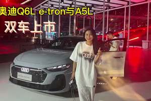 德系精工联手中国智慧，奥迪的“油电双线突围战”正式打响