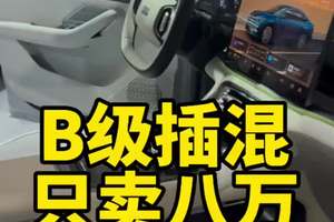 B级插混，只卖8万 #汽车 #买车 #买车那点事儿 #汽车人共创计划 #新车上市 @抖音创作小助手