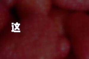 吃了睡睡了吃。