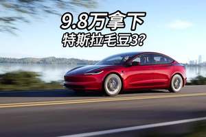 9.8万就能拿下特斯拉毛豆3？