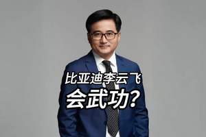 比亚迪李云飞到底会不会武功？