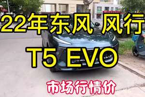 这个国产车合适不？22年东风风行T5 EVO ，4出头值得吗