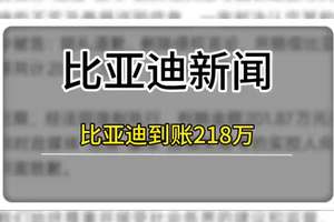 造谣比亚迪成本=201万 #比亚迪 #比亚迪法务部 #造谣比亚迪
