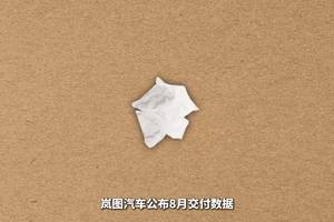 市场竞争白热化，岚图的自研地基撑起高楼