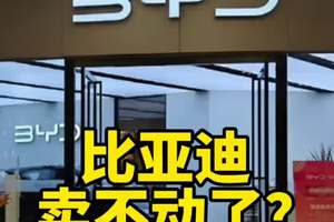 比亚迪，买不动了？ #汽车 #买车 #买车那点事儿 #买车前买车后 @抖音创作小助手