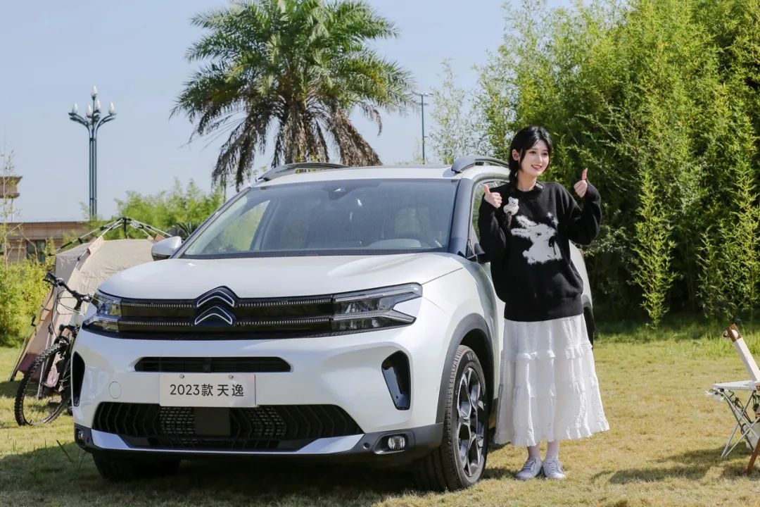 67让双十一回归初心这事居然让神龙汽车干了