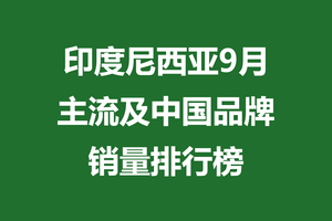 印度尼西亚9月主流及中国品牌销量排行榜