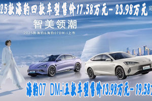 购车预算15万到20万 先看比亚迪2025款海豹和海豹07DM-i