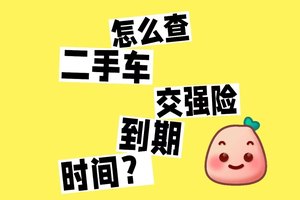 怎么查询摩托车交强险信息？学会这四种方法够了！