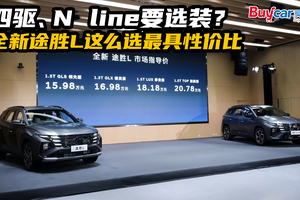 四驱、N line要选装？全新途胜L这么选最具性价比