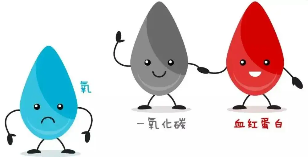 户外主播车内烧炭导致窒息，死亡原因或为一氧化碳中毒
