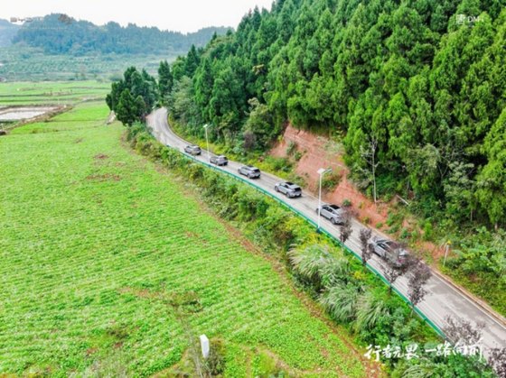 与千年石刻“对话” ，比亚迪2025款唐DM-i安岳文化之旅圆满收官