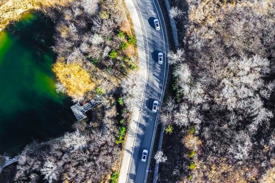 智享驾乘 引领出行新潮流 2025款宋L EV&宋L DM-i智驾体验营