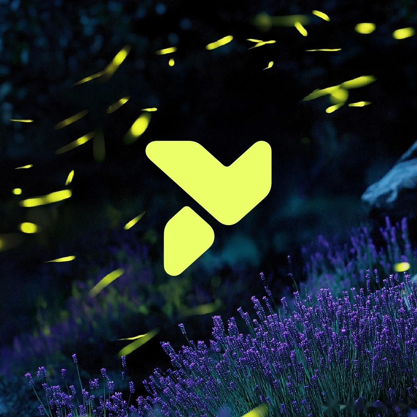 firefly萤火虫预售价正式确认：14.88万元起的预售价似乎偏高