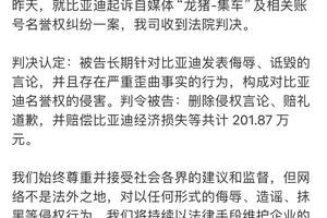 法院裁定：“龙猪-集车”自媒体因诋毁比亚迪被判赔201.87万元