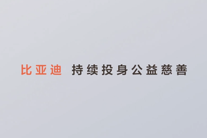 比亚迪宣布捐了30个亿搞教育慈善