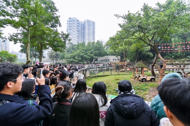 长安五少莽灿灿换新座驾 长安启源实力宠国宝