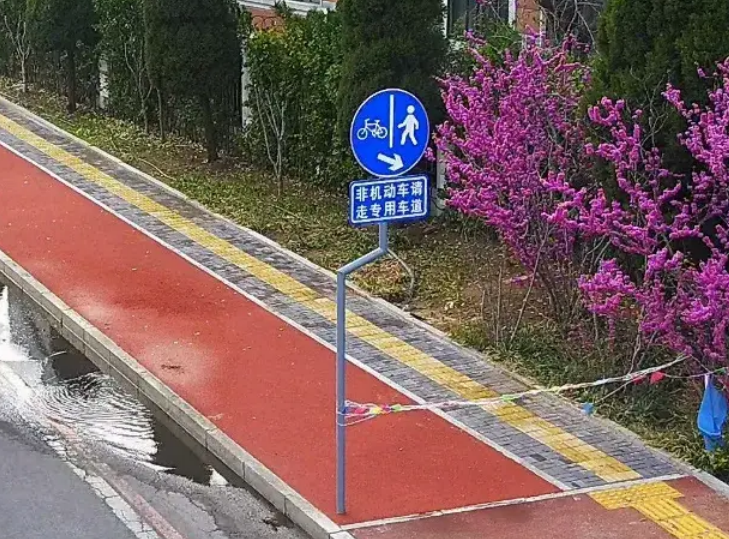 电动自行车管理处于初级阶段，专家认为应推动全链条共治