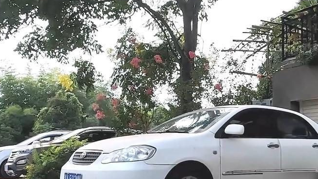 长时间不洗车会伤车吗？老司机来告诉你，哪里最容易受伤