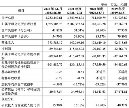 2025年600GWh产能恐难实现 蜂巢能源旨在出货量“翻倍”