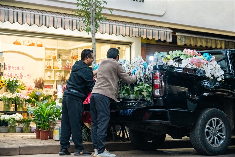 江铃皮卡2024：持续深化品类战略与服务，引领皮卡行业迈向新高度