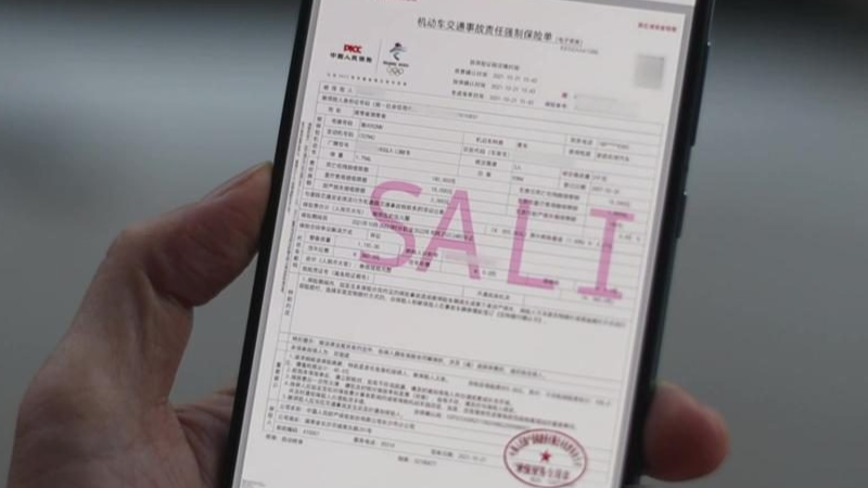 汽车上线年检担心过不了，看老司机15年的老车一把过，全是干货