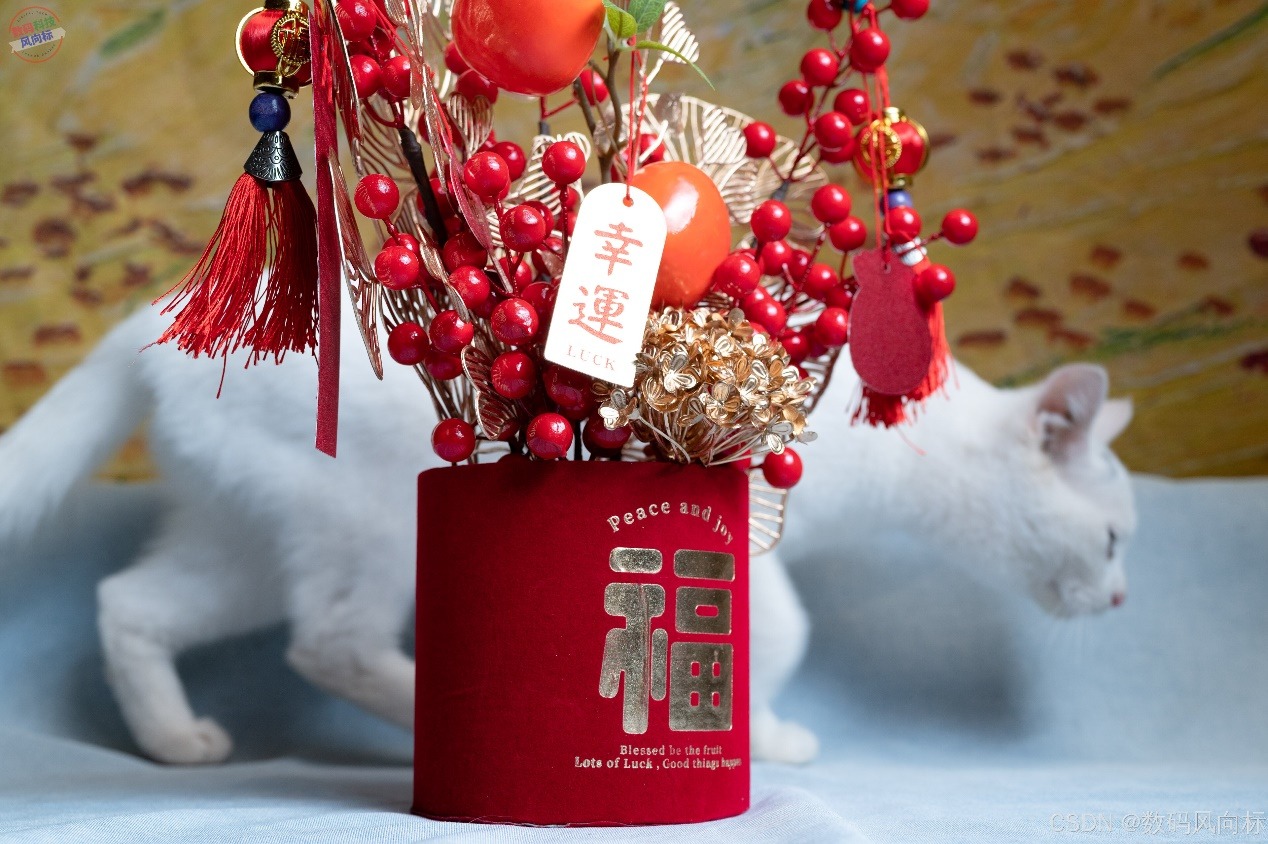 窝萌柿柿如意年宵花，红火装饰寓意吉祥，点亮节日气氛