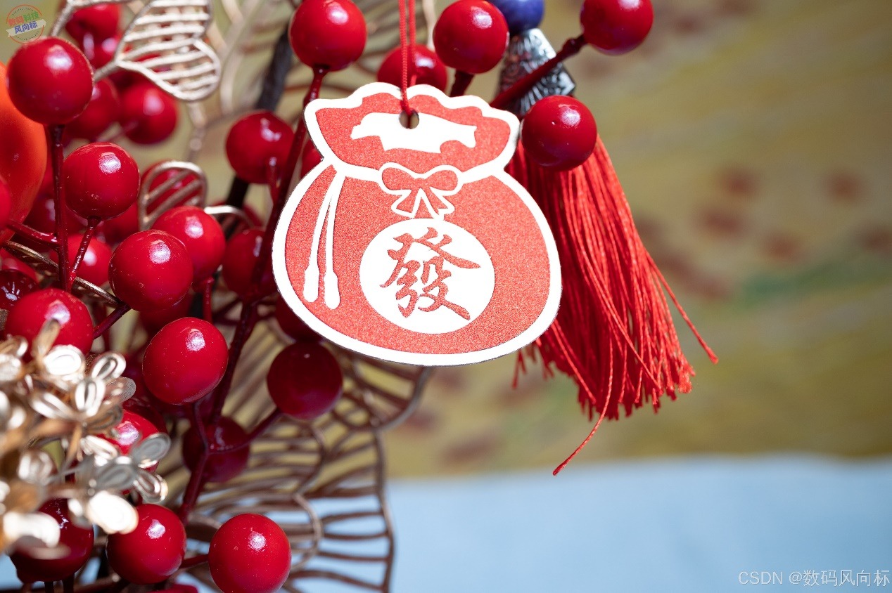 窝萌柿柿如意年宵花，红火装饰寓意吉祥，点亮节日气氛