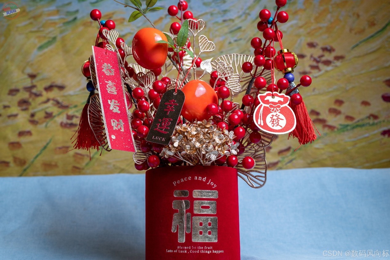 窝萌柿柿如意年宵花，红火装饰寓意吉祥，点亮节日气氛