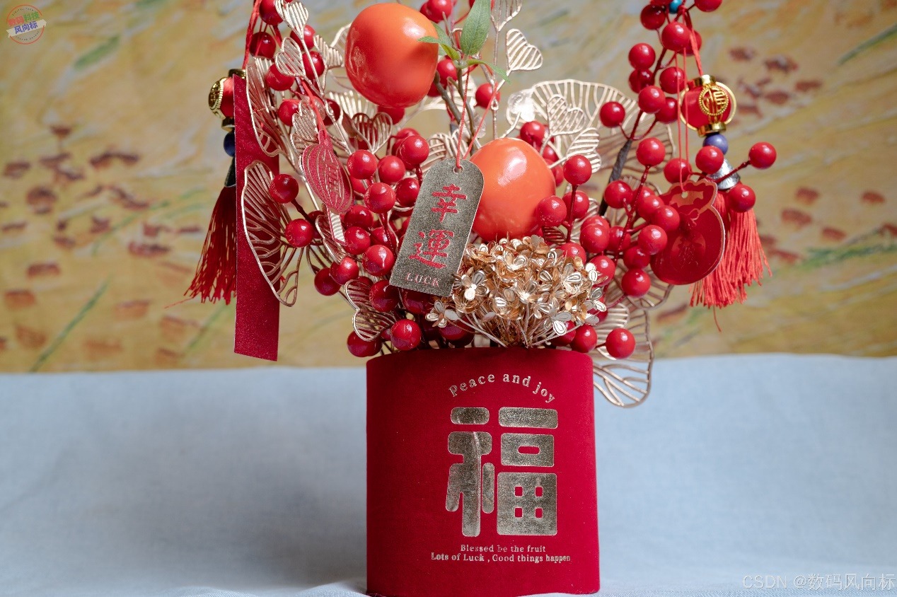 窝萌柿柿如意年宵花，红火装饰寓意吉祥，点亮节日气氛
