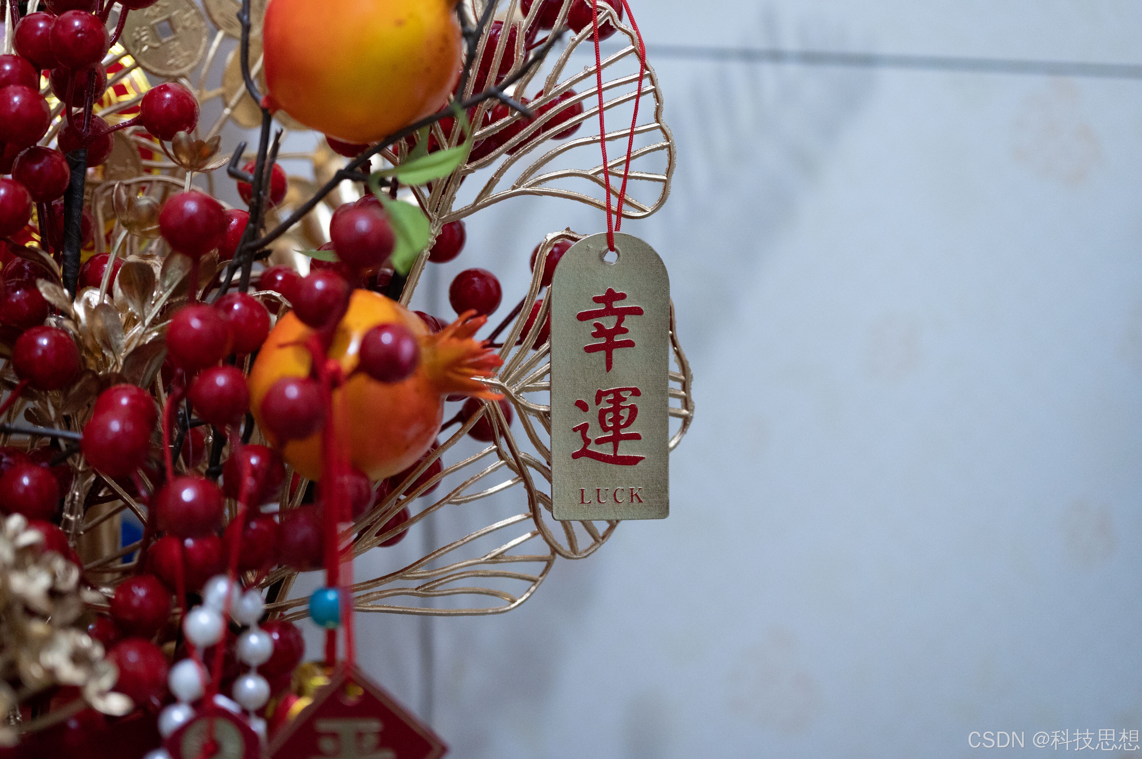 窝萌迎财神年宵花，让春节的家更有“年味”，更有“财气”！