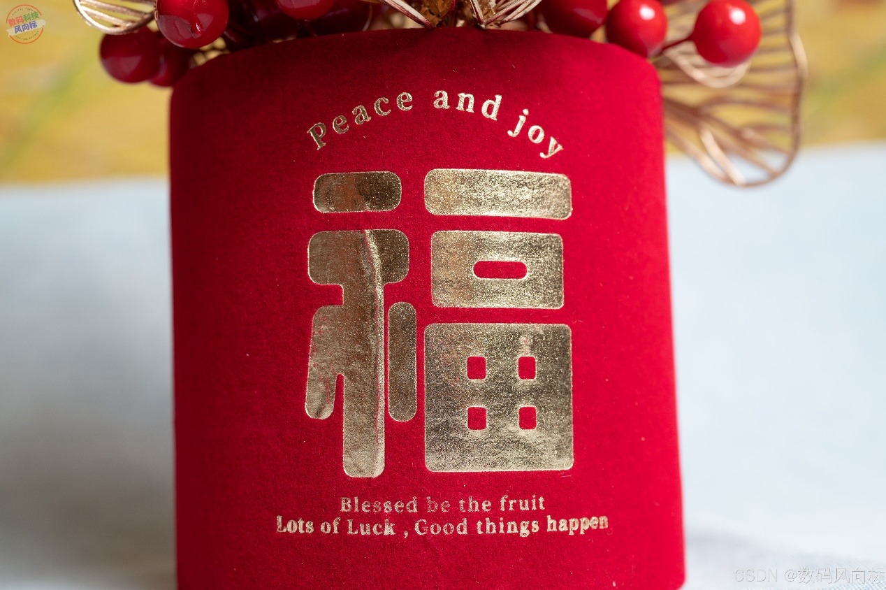 窝萌柿柿如意年宵花，红火装饰寓意吉祥，点亮节日气氛