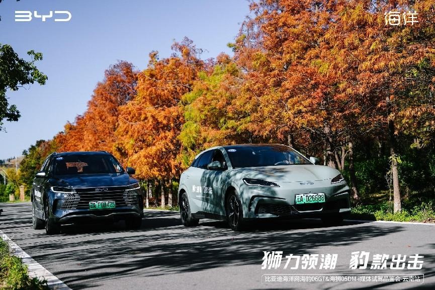 比亚迪海洋网双星闪耀云岭 海豹06GT&海狮05DM-i试驾好评如潮