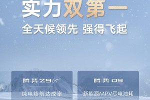 腾势汽车斩获2024懂车帝全球冬测双冠，科技豪华实力无惧严寒挑战