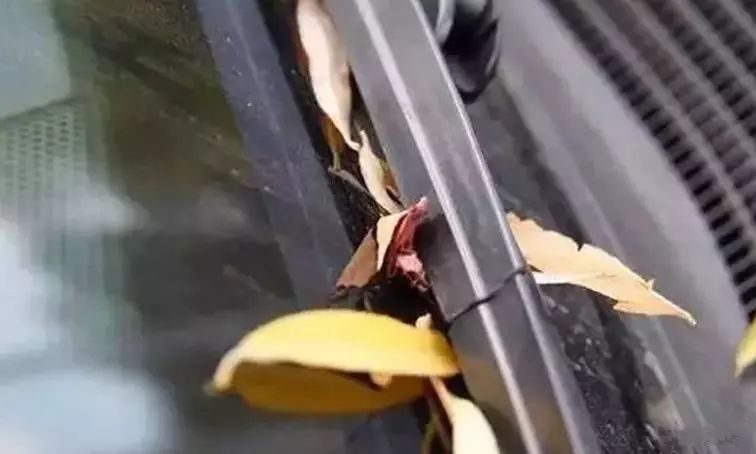 抓狂！为什么我的雨刮总是刮不干净？