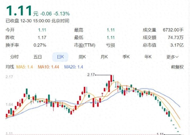 主业都干不好还想卖车？国美有成功的可能吗？